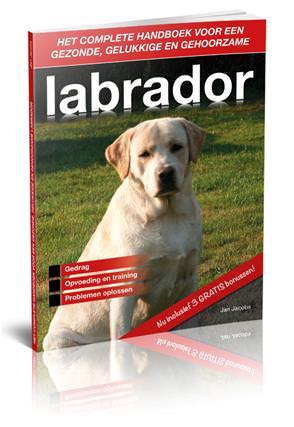 Complete handboek ..... Labrador ;) 