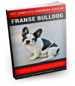 Franse Bulldog geheimen